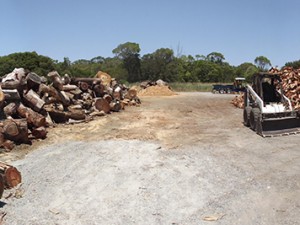 Wide image of yards