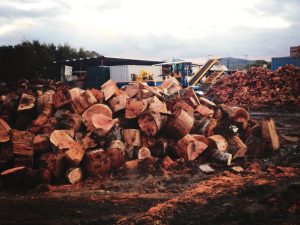 What how the timber is processed